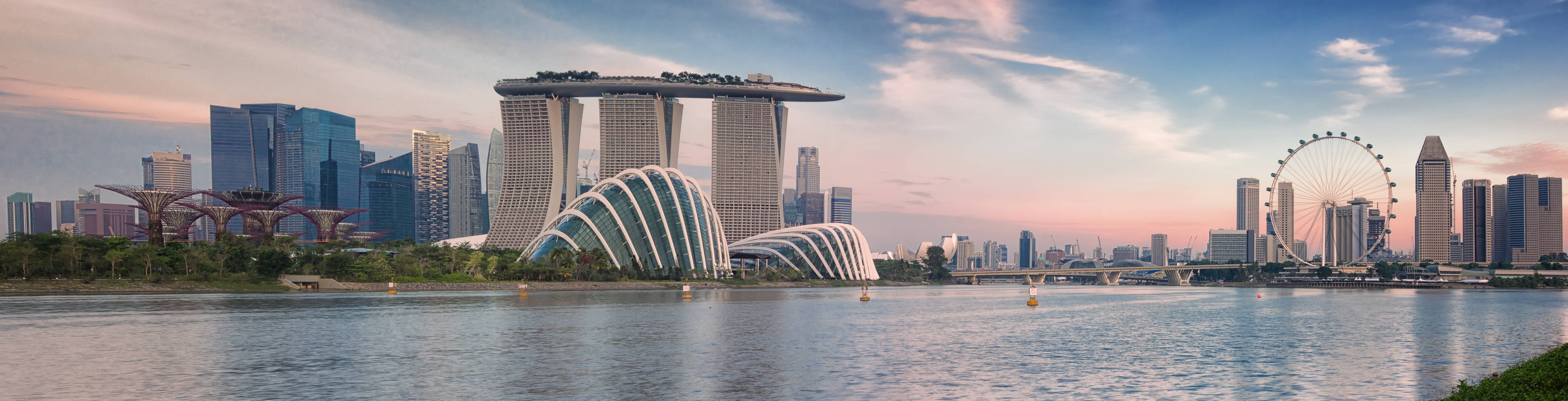 Singapore Banner