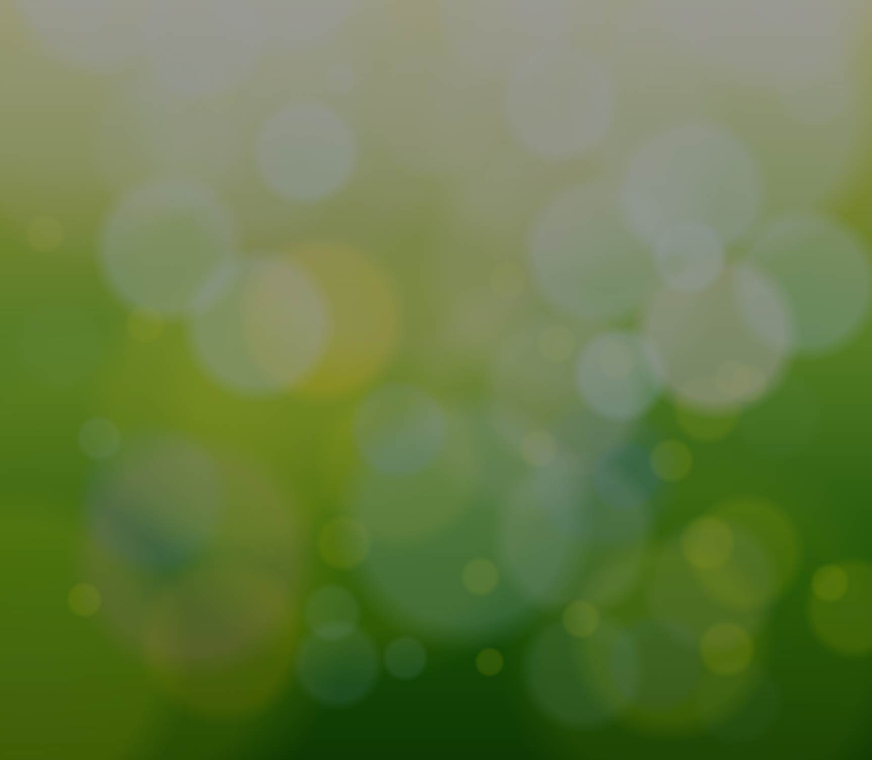 Returns to ESG Investing: Looking for the Light